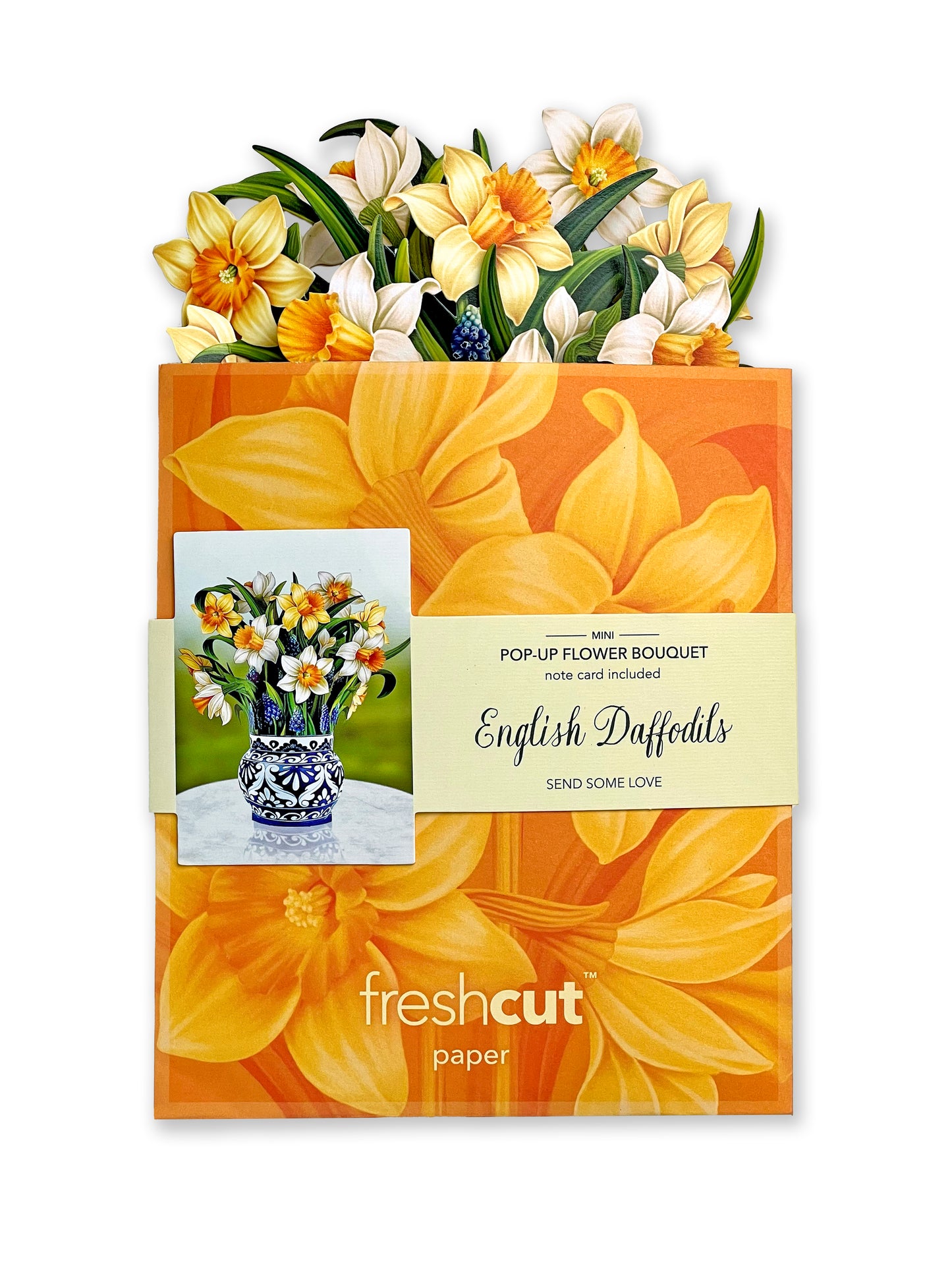 Freshcut Paper Card: MINI English Daffodils